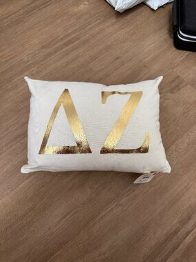 Delta Zeta Pillow